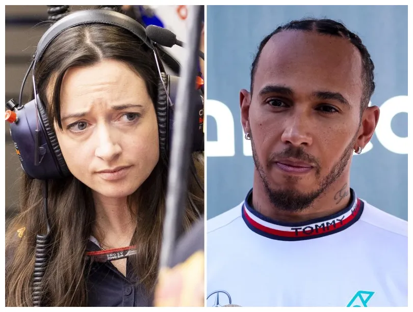 Lewis hamilton fan club deletes message after backlash 'emotions are high'