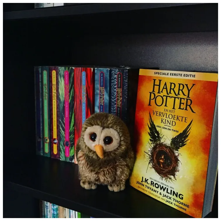 Harry potter en het vervloekte kind