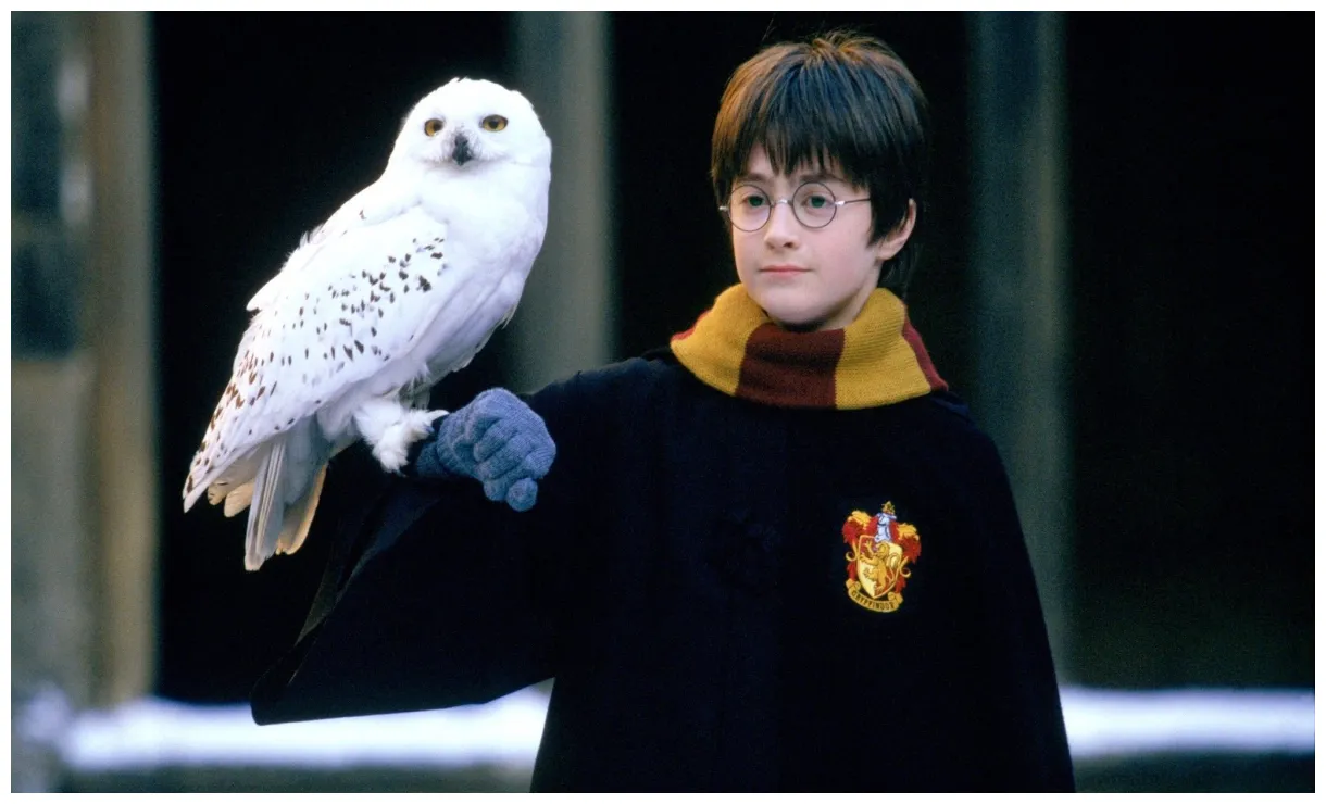 Harry potter à l'école des sorciers film 2001 chris columbus