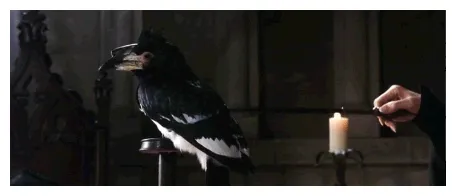 Transformation wiki fandom