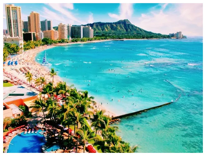 ハワイで2つのホテルに泊まりたい！ホテルをはしごする時の移動手順 ゆったりカメ夫婦ブログ