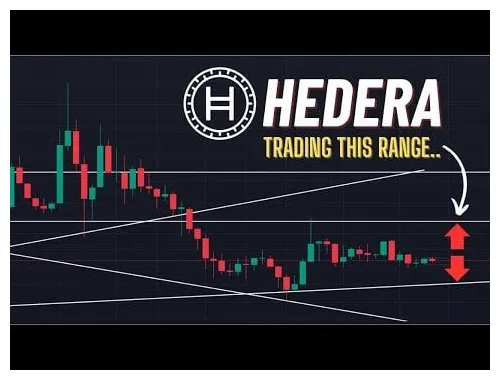 Hedera historical price performance live update 2025