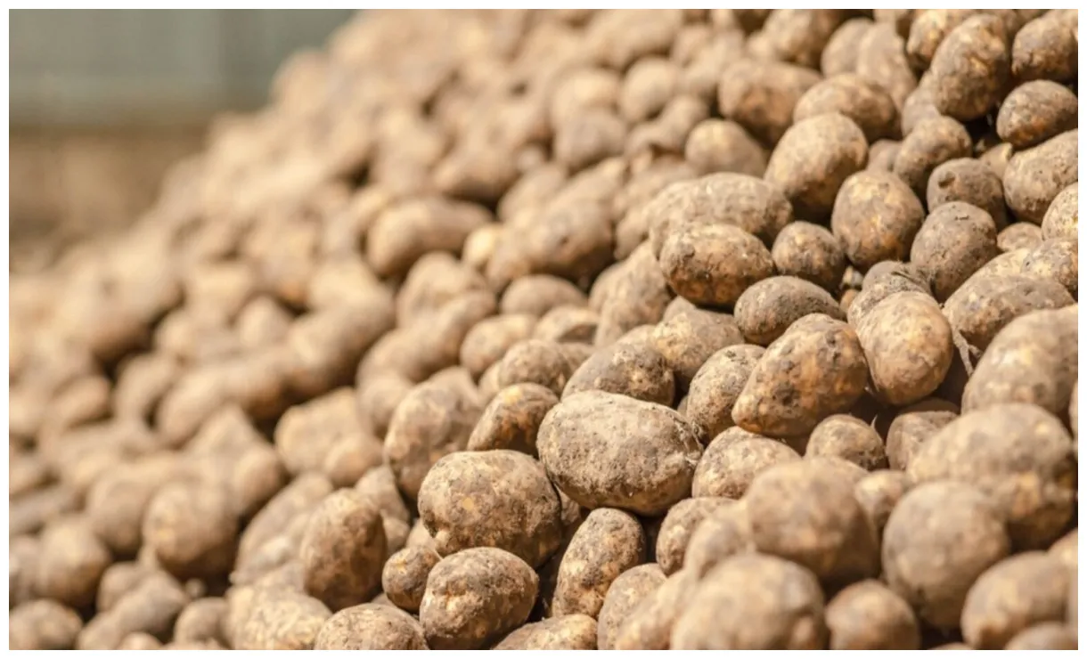 VidÉo. le témoignage bouleversant d’héméré, 9 ans, atteinte de la