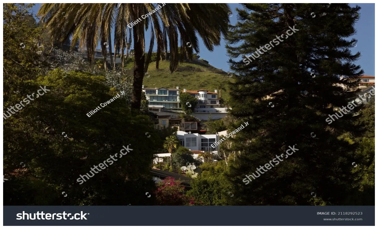 11,591 s, s & vectors shutterstock