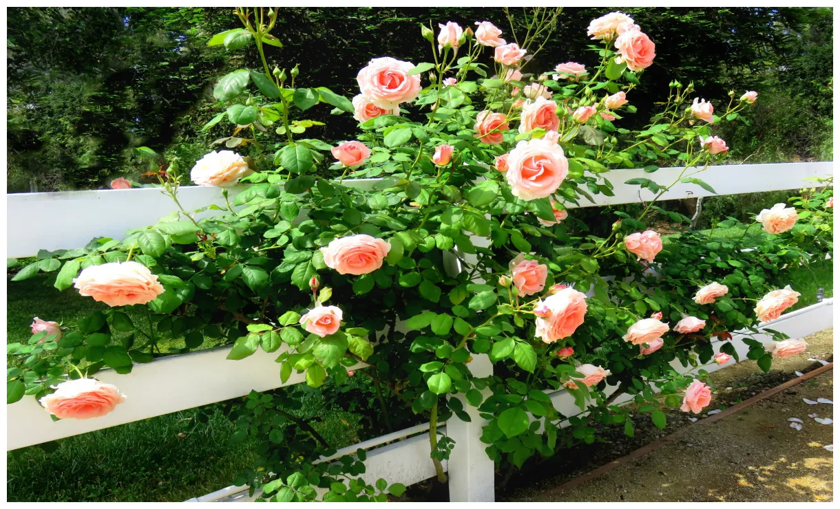 Buying and selling regulations —