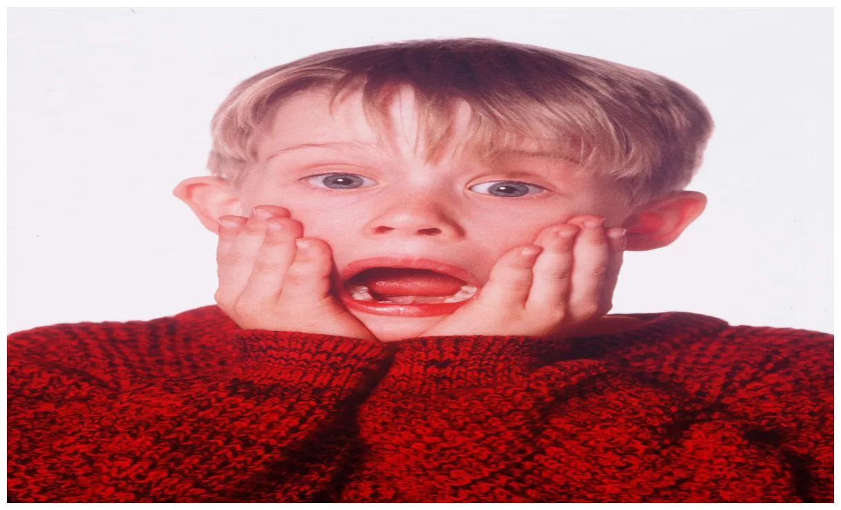 Home Alone - Home Alone Photo (30912311) - Fanpop