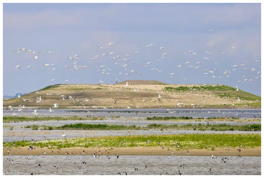 Travel to zeeland go dutch with a trip to the nearby maritime haven