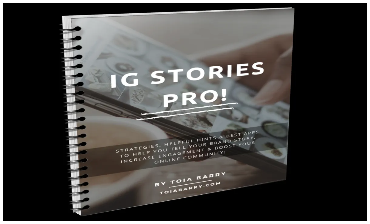 eBook: IG Stories Pro! – toia barry