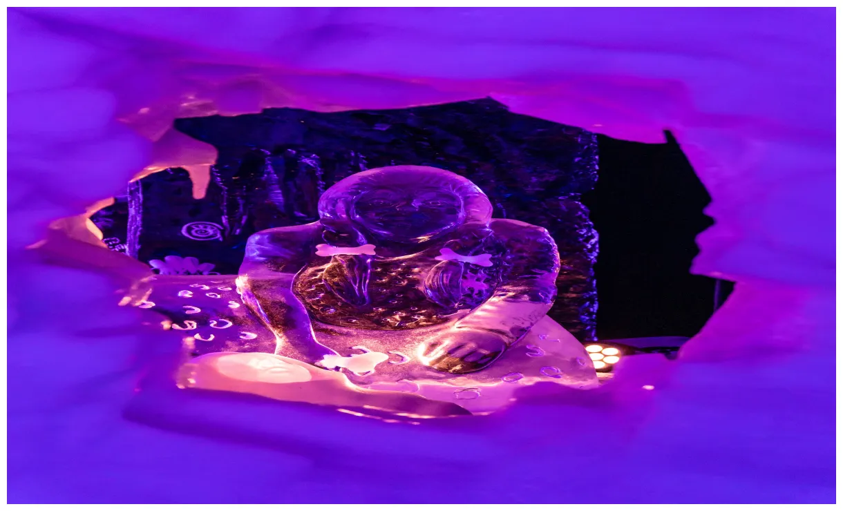 2020 — tim thurlings graphy