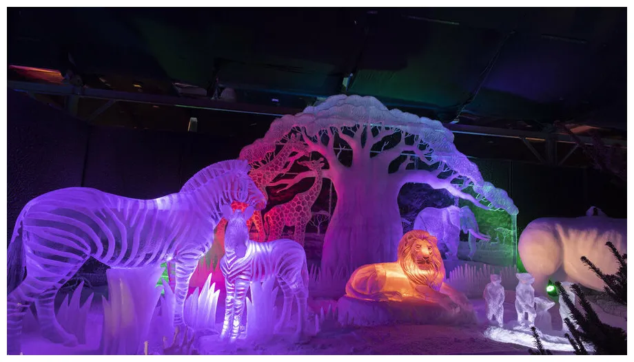 Discount for . boek nu tickets tot 20% korting!