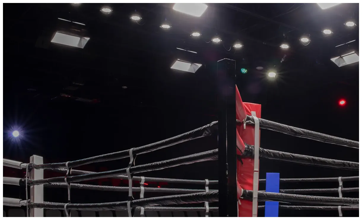 Naoya inoue ve. alan david picasso boxing schedule