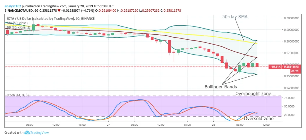 Iota realtime market value graph live update 2025
