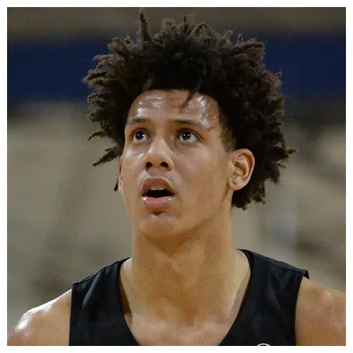 Small forward, nicolet bear insider