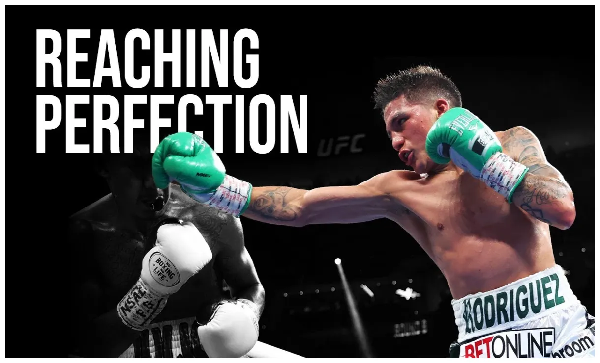 Boxing net worth, contract, detailed information