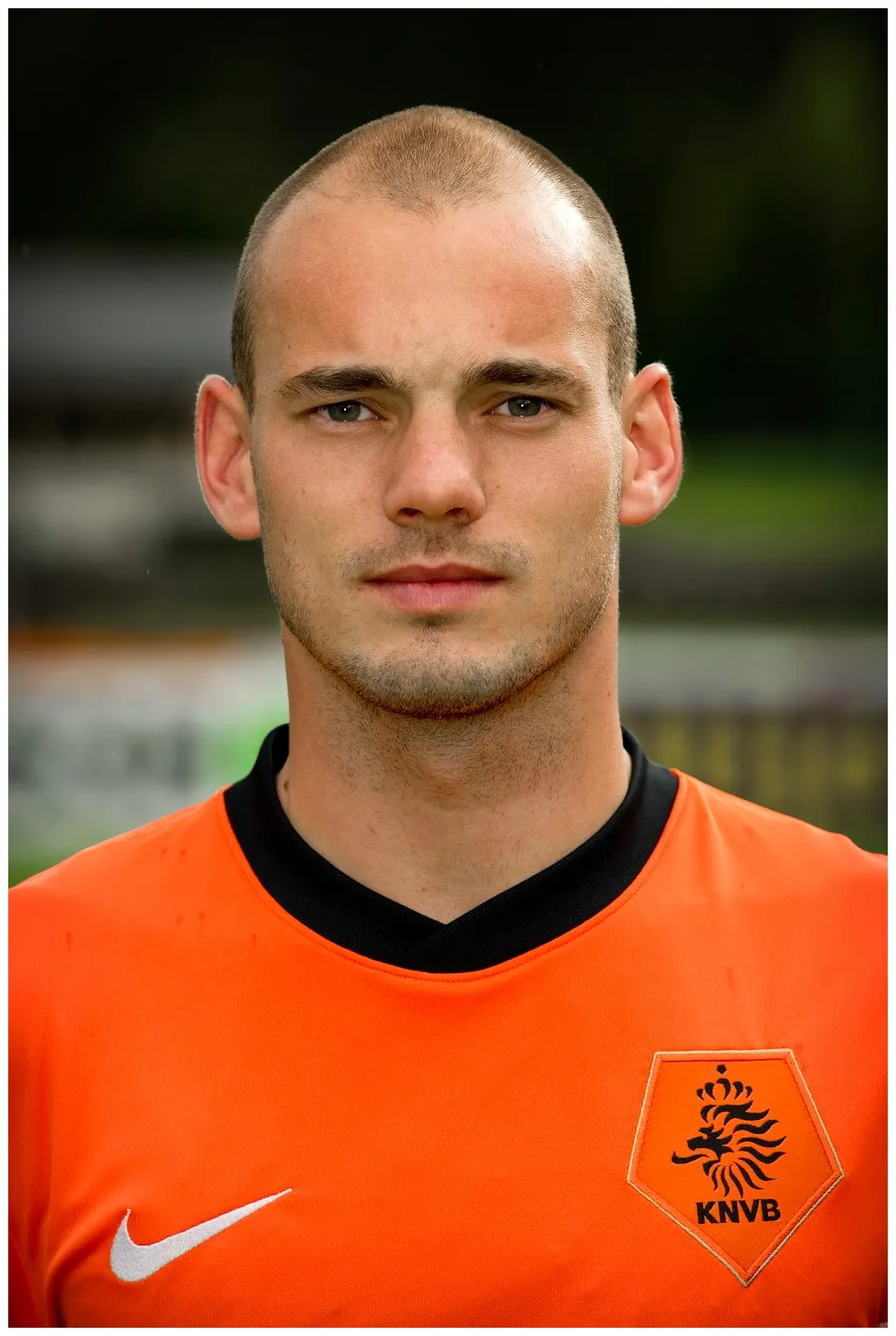 Wesley sneijder ~ picture world