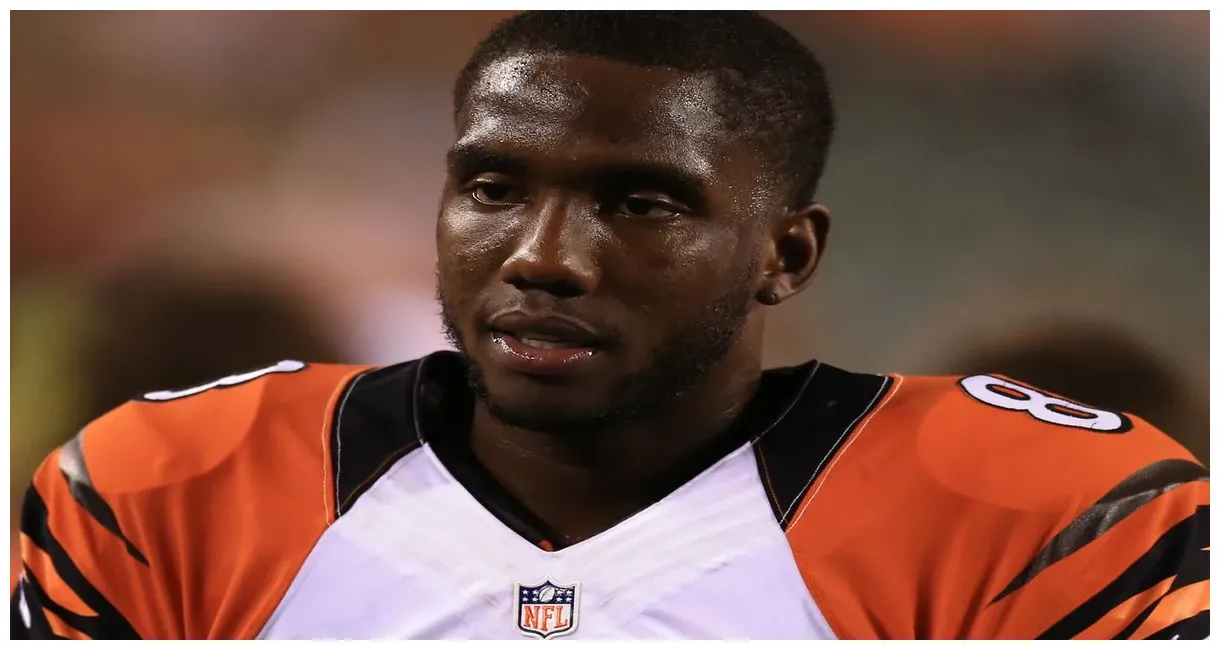 Net worth 2023 career, age, and personal life