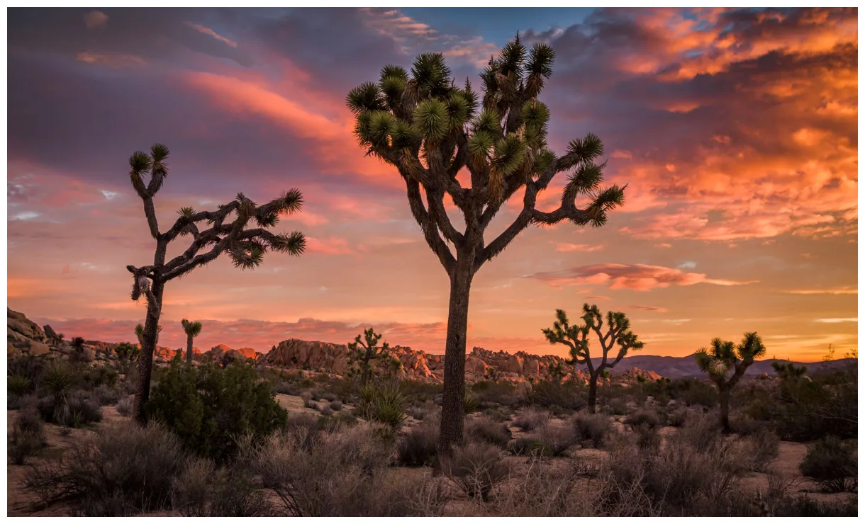 Our guide for what to do in condé nast traveler