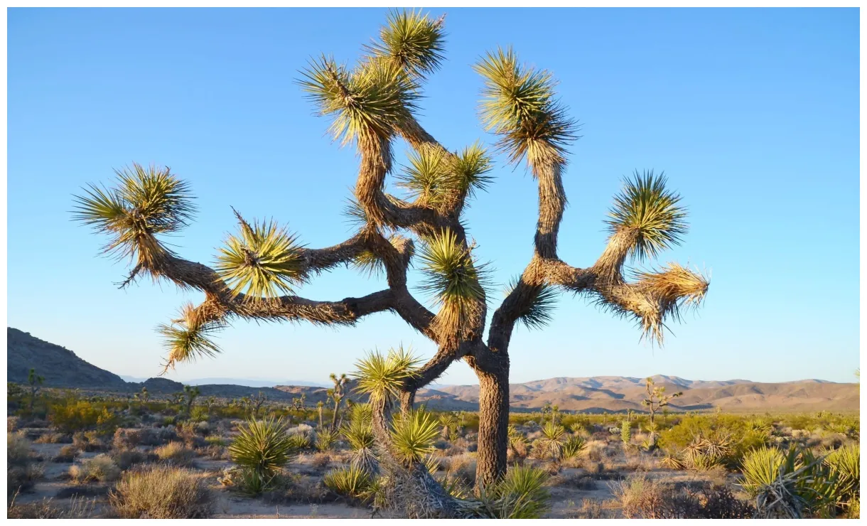 National park in 10 s