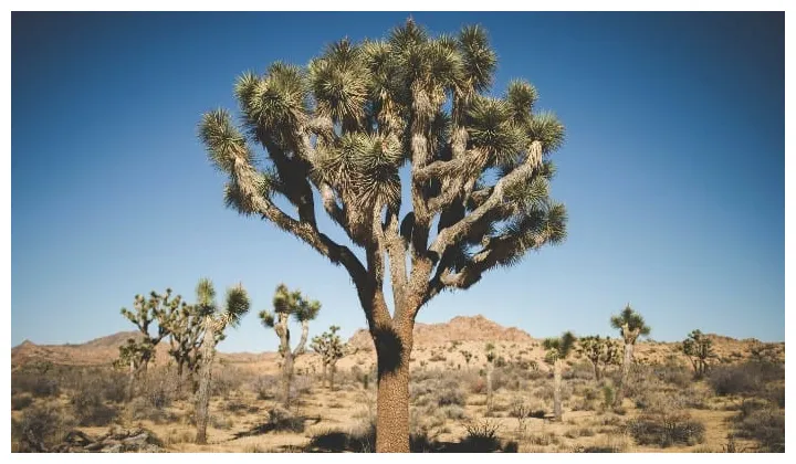 Spiritual meaning spiritual energy, symbol, and mythology