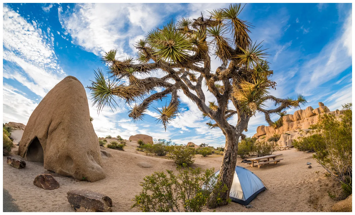 Things to do in national park travel caffeine