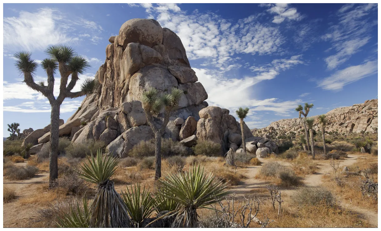 National park, indio, ca california beaches