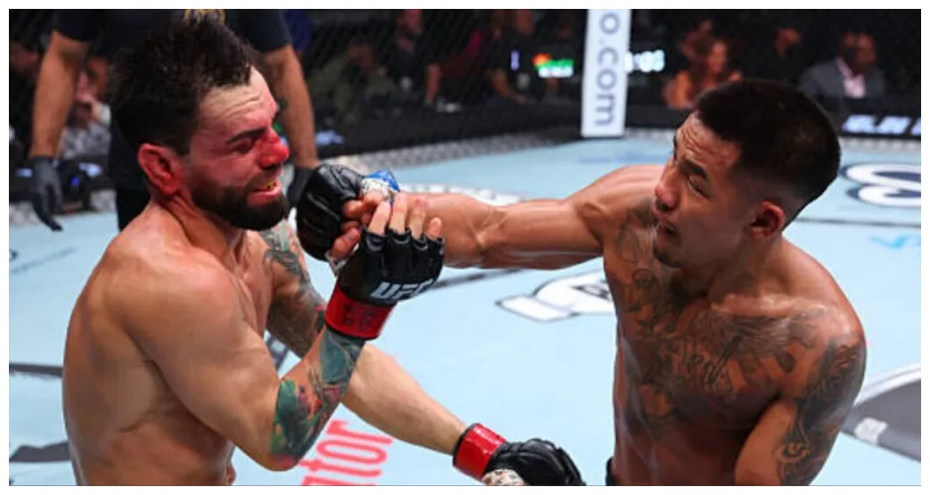 Brutalizes bruno silva en route to third-round tko ufc 316