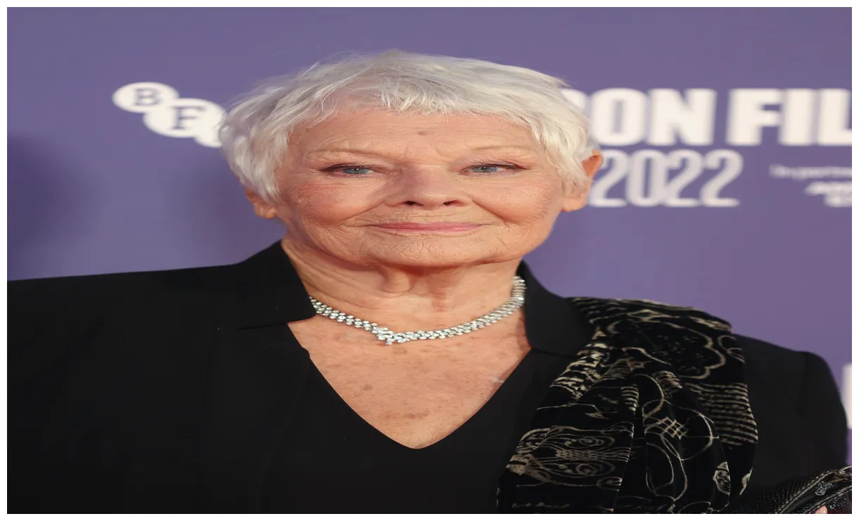 Judi Dench Hairstyle