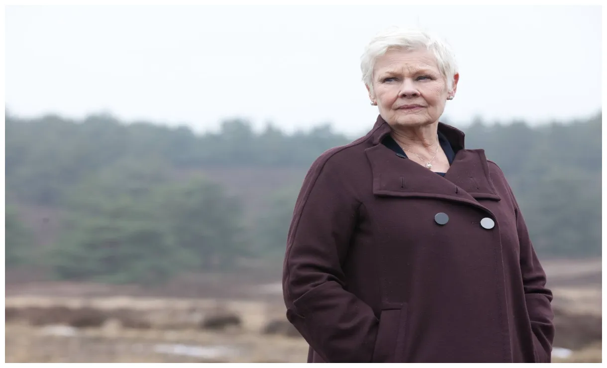 Spotlight On Dame Judi Dench | James Bond 007