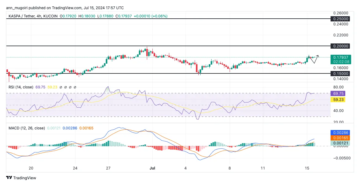 Kaspa kas price fluctuation graph week 1 january 2026
