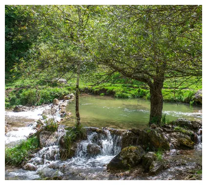 S browse 83 s, vectors, and video adobe stock