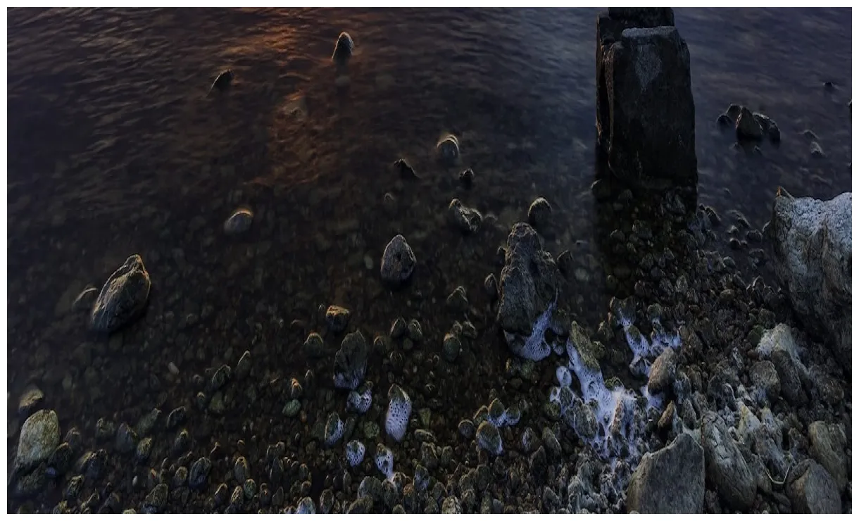 Reiseführer 2025 das beste in entdecken expedia