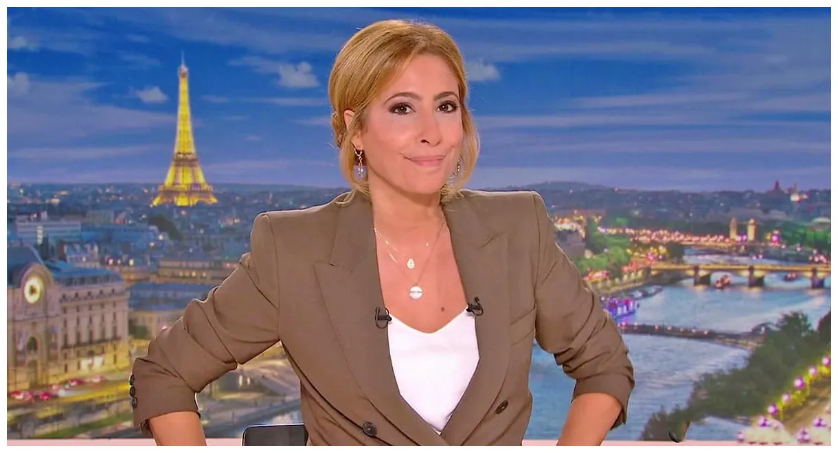 Groc couac pour léa salamé au jt de 20h face à sébastien lecornu