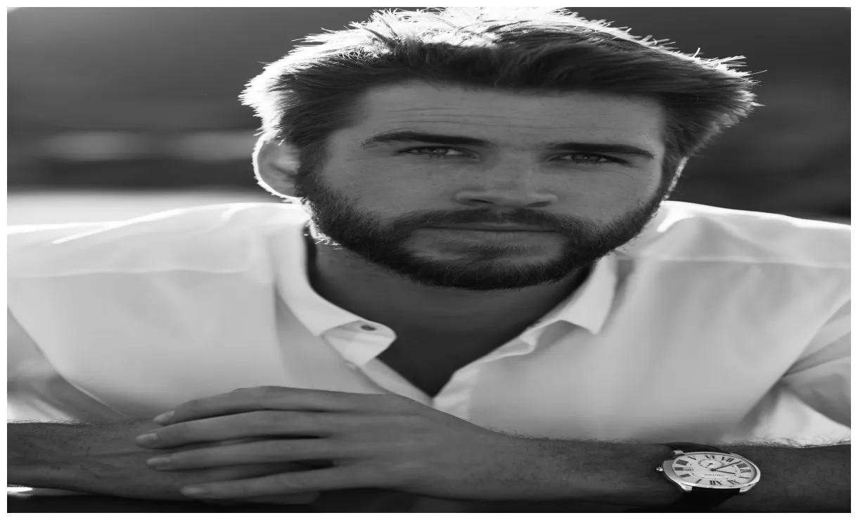 The lane man the actor, style guide the lane