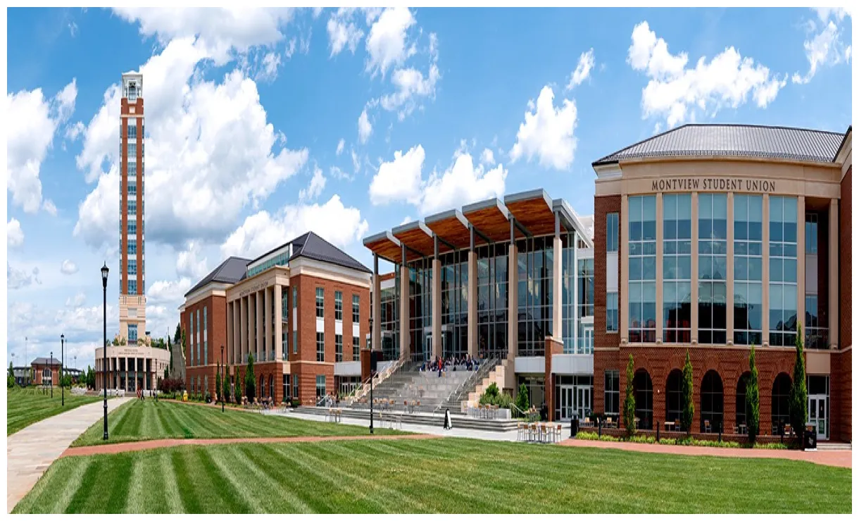 Liberty University: Career | LinkedIn