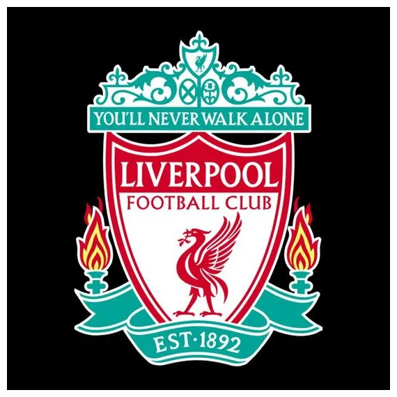 Liverpool México (liverpoolmexico) | Official Pinterest account