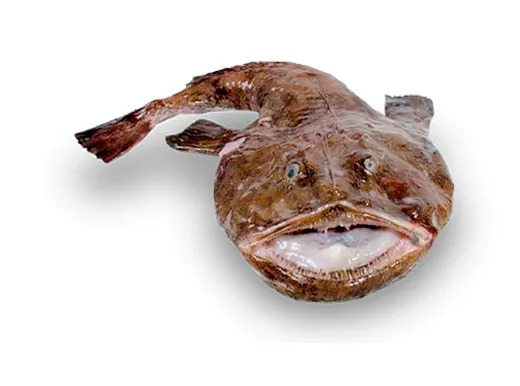 Productos frescos mascato