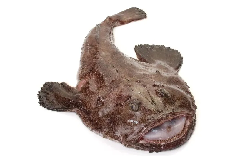 Produção nacional do mar acfmnp