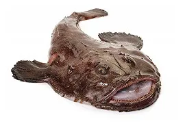 Recette lotte à la crème fraîche