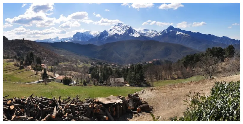 Discovering guide and curiosities zonzofox