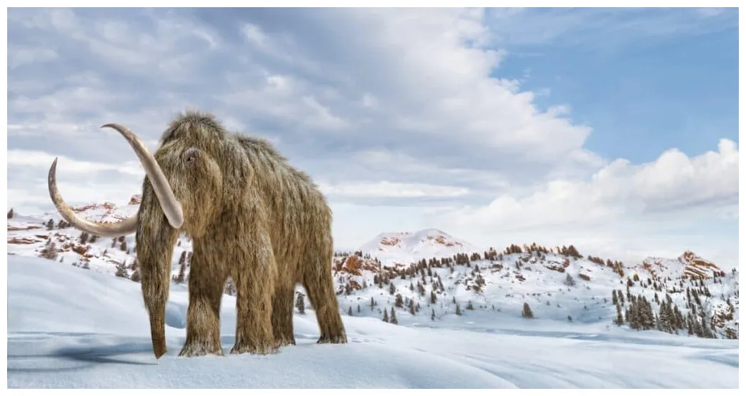 Mammoth vs. elephant comparing these two behemoths a-z animals