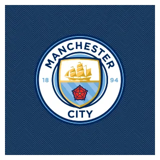 マンチェスター・シティの若手たち 徹底紹介のサッカー若手紹介所