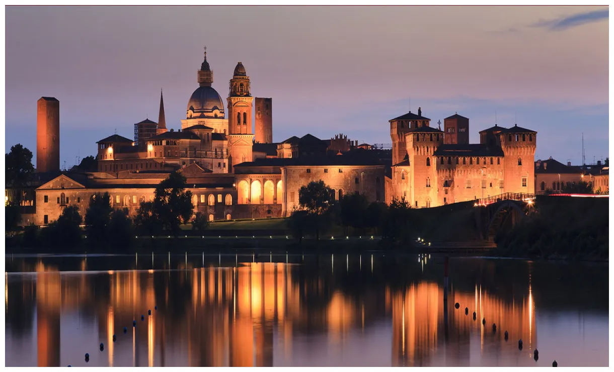 The things network community