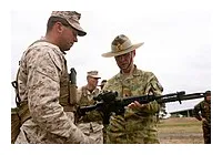 Category wikimedia commons