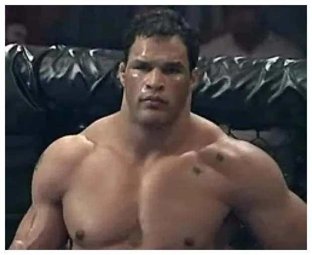 Profile & match listing internet wrestling database iwd