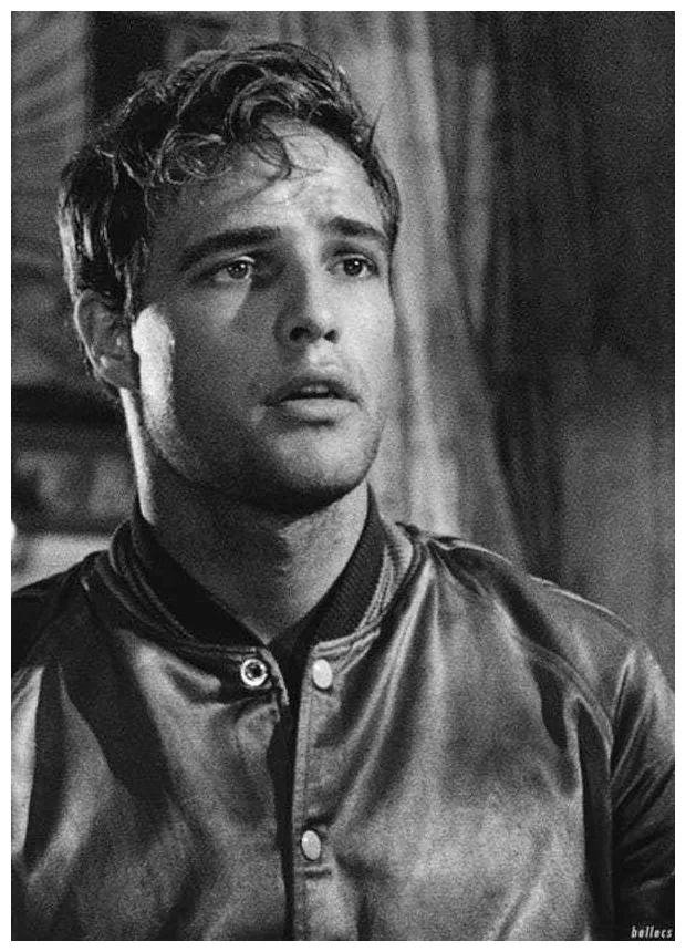 In his debut film the men in which he