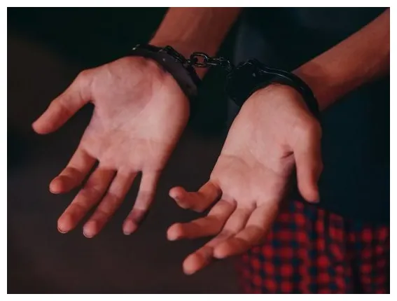 Cet historique de recherches qui a mis la puce à l