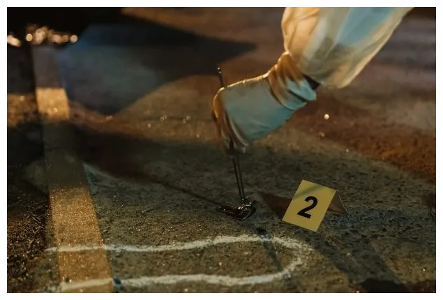 Cet historique de recherches qui a mis la puce à l