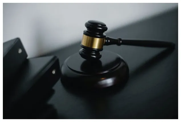 Cet historique de recherches qui a mis la puce à l