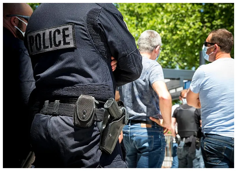 Cet historique de recherches qui a mis la puce à l