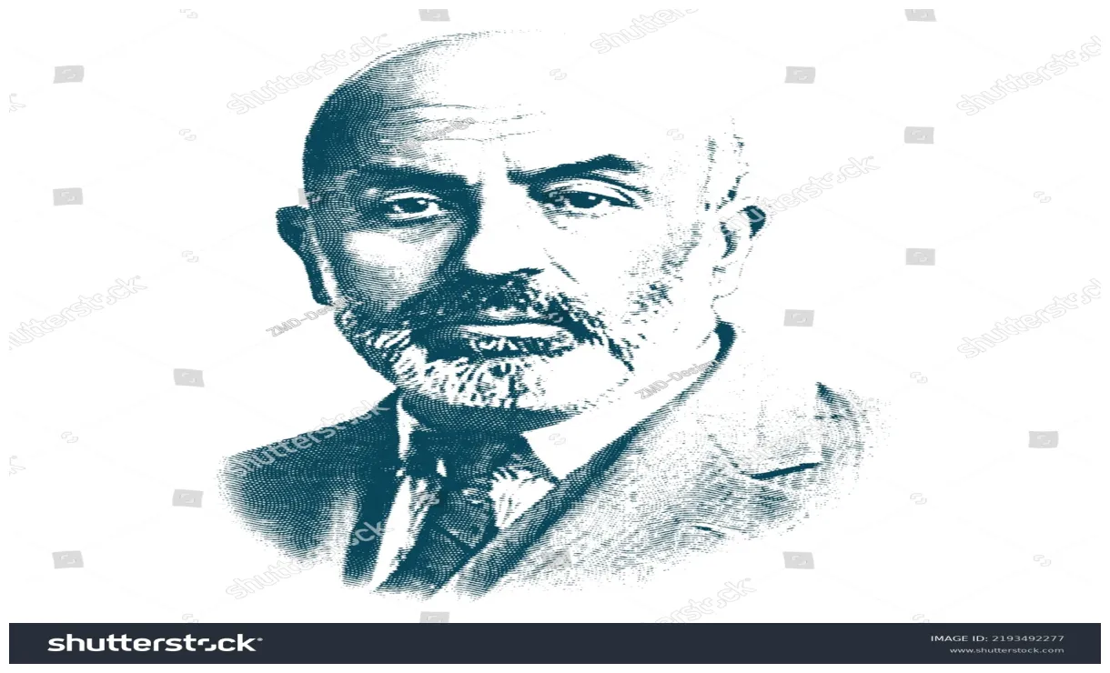 249 s, s & vectors shutterstock